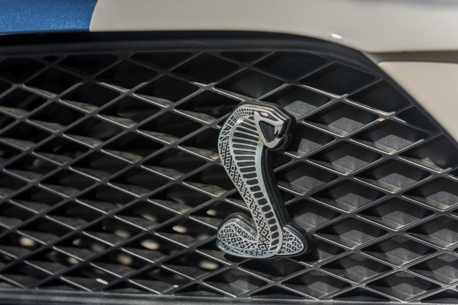 Логотип Shelby GT500 2007 года  (фото 39 из 128)